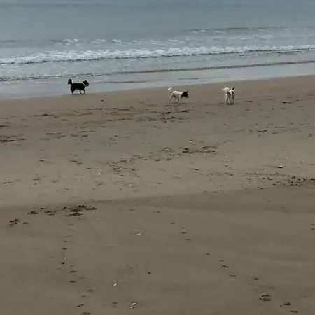 Jardin Cap D'agde Apartment *