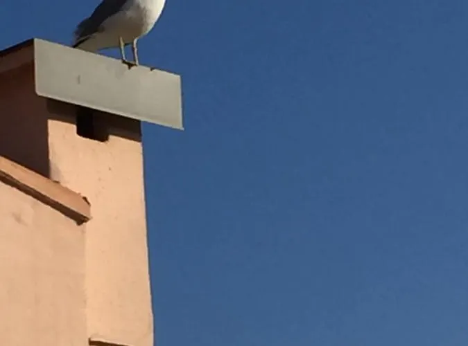 Appartement avec un grand jardin privé Cap d'Agde Pinède Appartement *