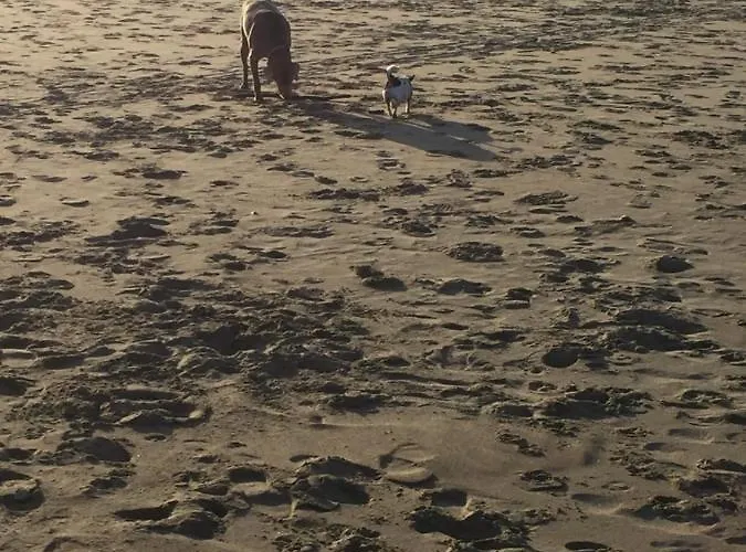 Appartement avec un grand jardin privé Cap d'Agde Pinède