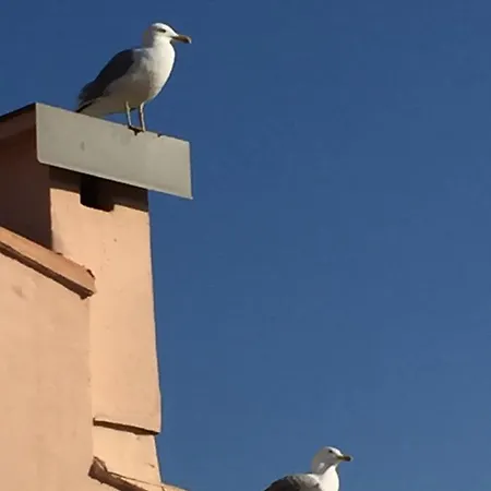 Avec Un Grand Jardin Prive Cap D'agde Pinede Apartament *
