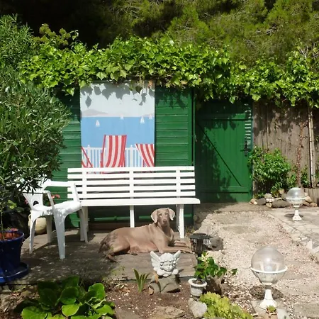 Apartament Avec Un Grand Jardin Prive Cap D'agde Pinede Agde
